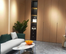 实木皮墙板和隐形门